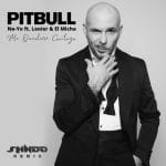 Song By Pitbull Feat Ne-yo Feat Lenier Feat El Micha Called Me Quedare Contigo